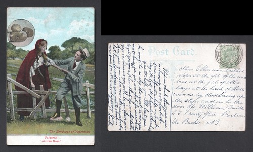 1907 wick kevii - 1907,