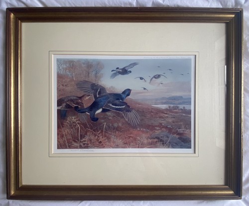Archibald thorburn - archibald,