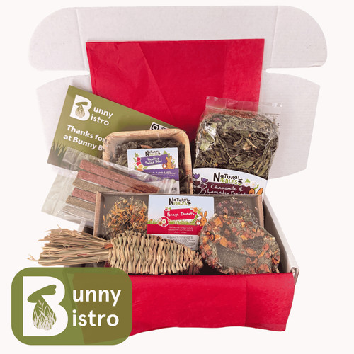 Rabbit treat box - treat, small