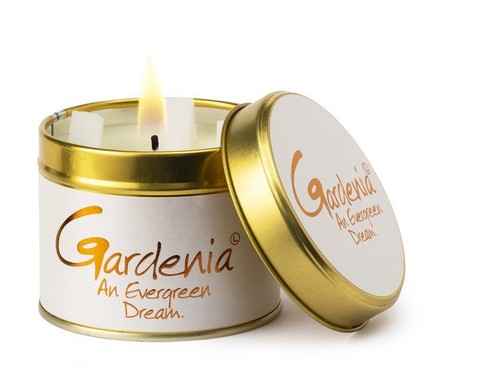 Brand new gardenia - brand, lily