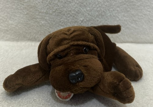 Daz promotional brown puppy - daz,