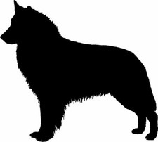 Belgian shepherd dog car - car, van