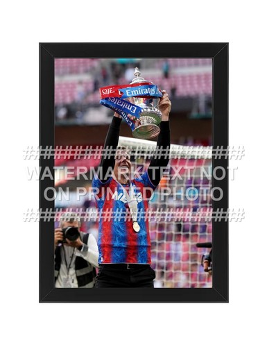 Cup trophy photo - fa,