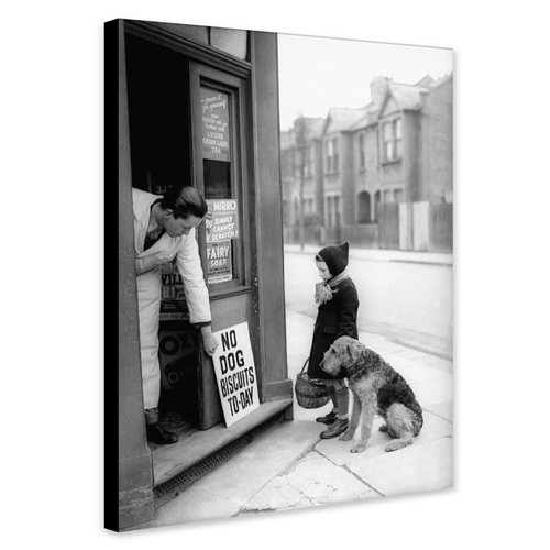 Dog biscuits vintage - no,