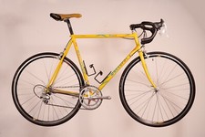 Daccordi unico 57cm - unico,