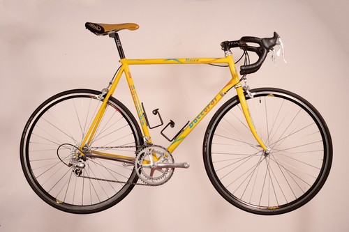 Daccordi unico 57cm - -,
