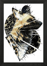 Shattered African Wild dog
