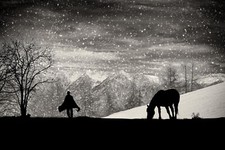 It’s time to go by Vito Guarino Horse Photography Giclee Art Print Ships Free