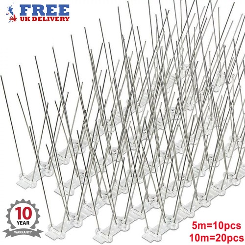 10m pigeon bird - 10m/5m,