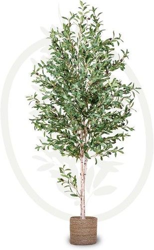 Artificial plant olive tree - plant,