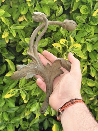Art nouveau ornamental bronze - nouveau,