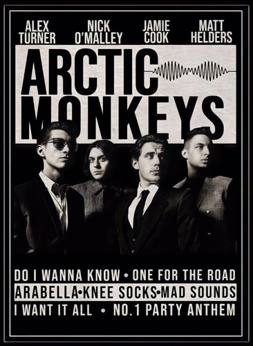 Arctic monkeys poster - , 260gsm