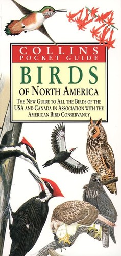 Birds north america - birds,