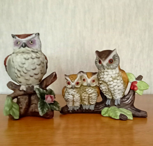 Brown white owl pair - &,