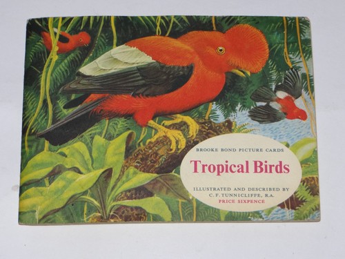 Tropical birds brooke bond - birds,