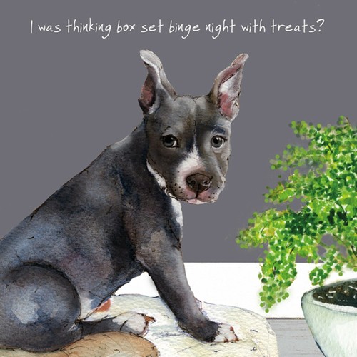Blue staffie greeting - greeting,