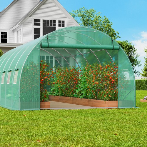 Walk tunnel greenhouse - tunnel,