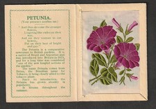 Kensitas WIX tobacco Medium