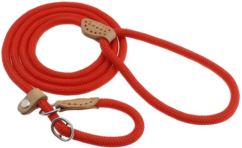 Slip lead dog training - dog,