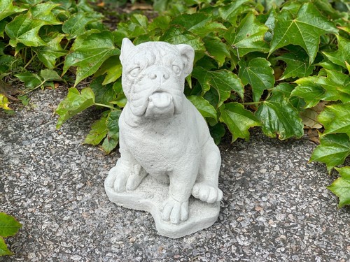 Concrete boxer dog - , statue