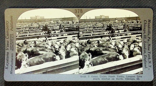 Chicago union stockyards - union,