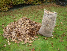 Composting Leaf Sacks x10 Jute / Hessian biodegradable