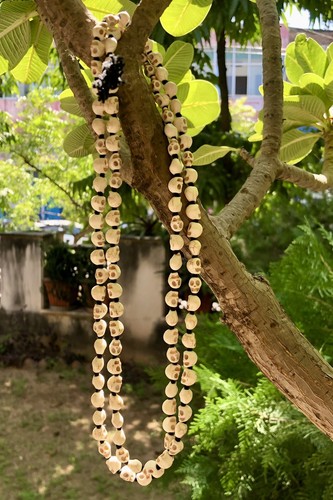 Goddess kali nar mund mala - kali,