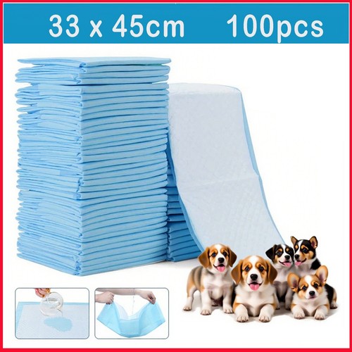 100pack puppy training - puppy, trainer