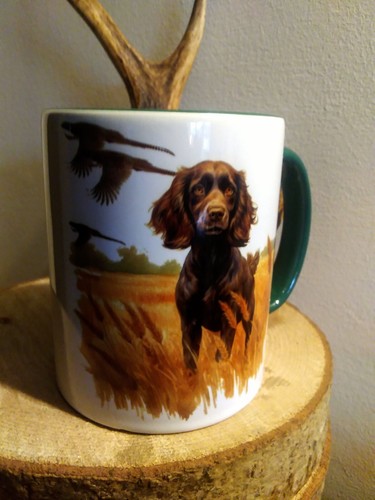 Pheasant shooting mug hunting - pheasant,