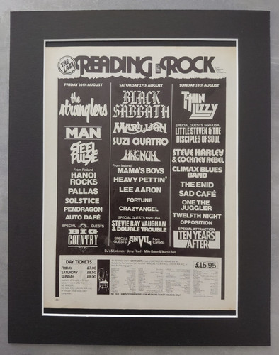 Reading rock festival - reading,