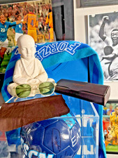 Genuine Oliver Peoples OV5219S Blush Fairmont Sun Buff Champagne Sunglasses