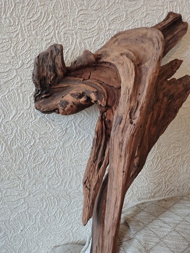 Drift wood reptile wolf - wood, v