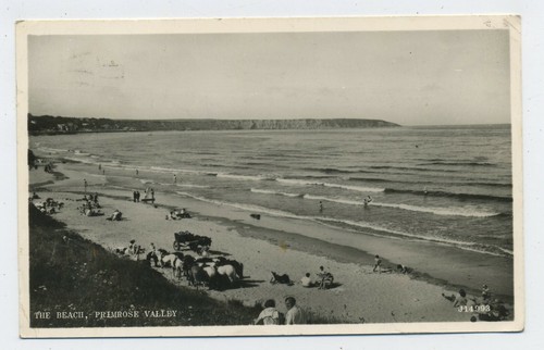 The beach primrose valley - the,