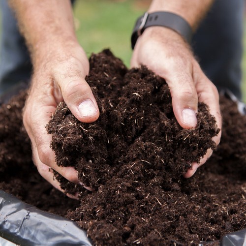 Professional compost 20l - professional,