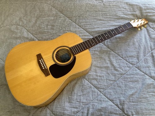 Seagull 20th anniversary cedar - seagull,