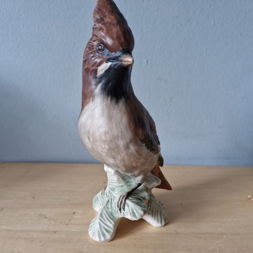 Goebel waxwing bird mat - cv, 80