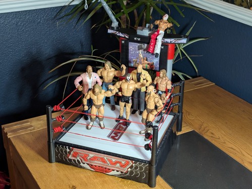 Wwe raw flex money bank - flex,
