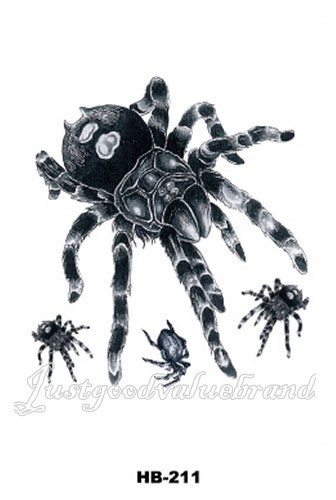 Black widow spiders - black,