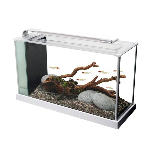 Fluval spec litre aquarium - litre,