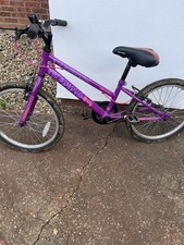Purple Apollo Envy Mountain bike