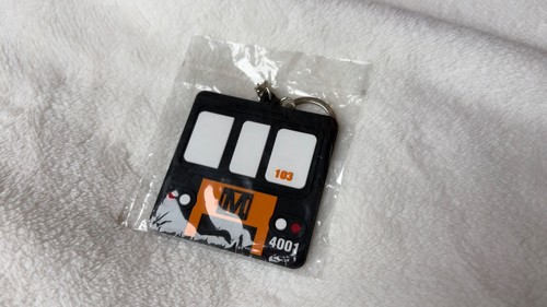 Tyne and wear metro official - tyne,