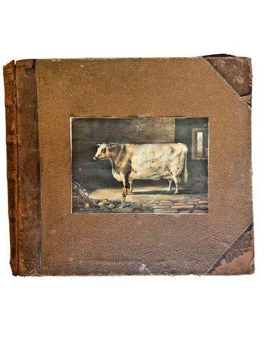 Large antique scrap - scrap, album