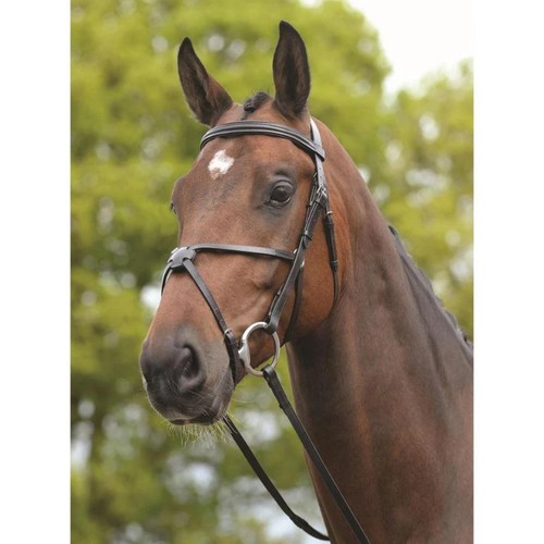 Kincade grackle bridle - bridle, ii