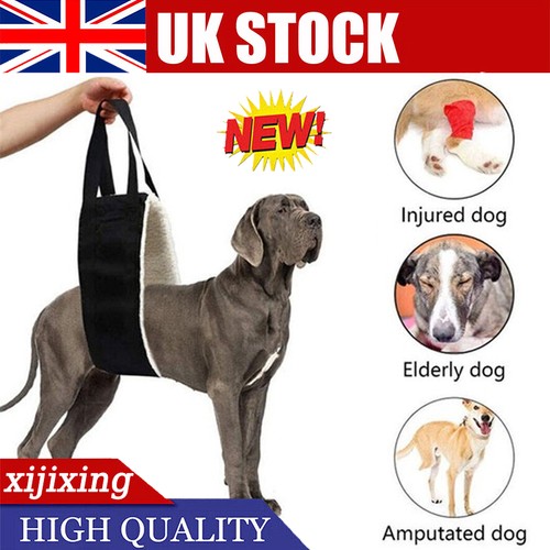 Pet dog mobility aids - uk,