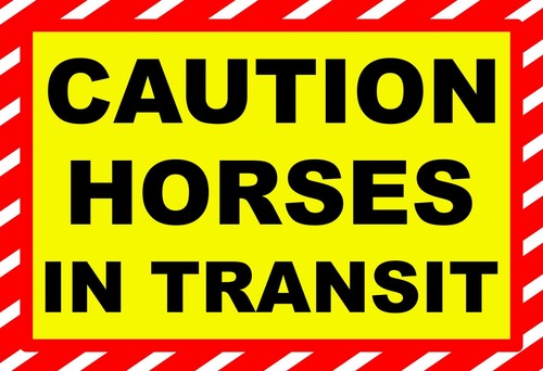 Caution horses transit - caution,