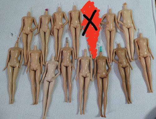 Barbie doll body bundle - bundle, (