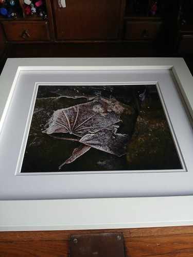 Beautiful framed photograph - framed,