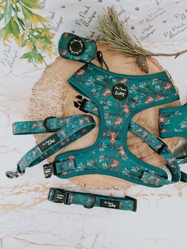 Cheeky monkey harness - or, lead