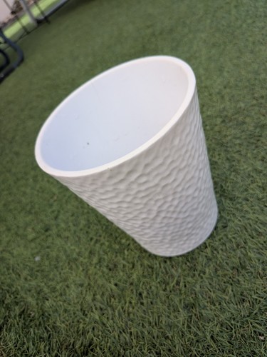 Modern white indoor - , plant