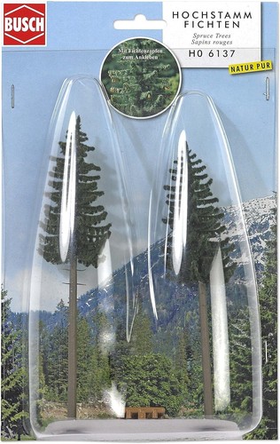 Realistic tall fir tree - realistic,